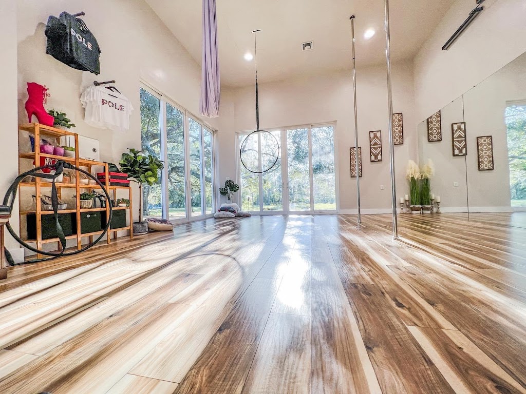  Feisty Fitness Co. Pole & Aerial