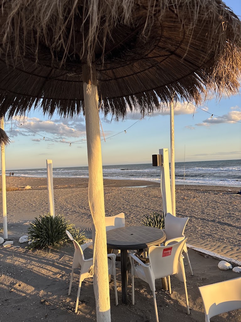 Chiringuito Las Palmeras — Mas recientes