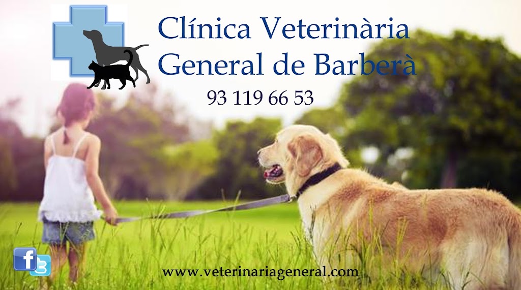 Clinica Veterinaria General de Barbera (Veterinario)