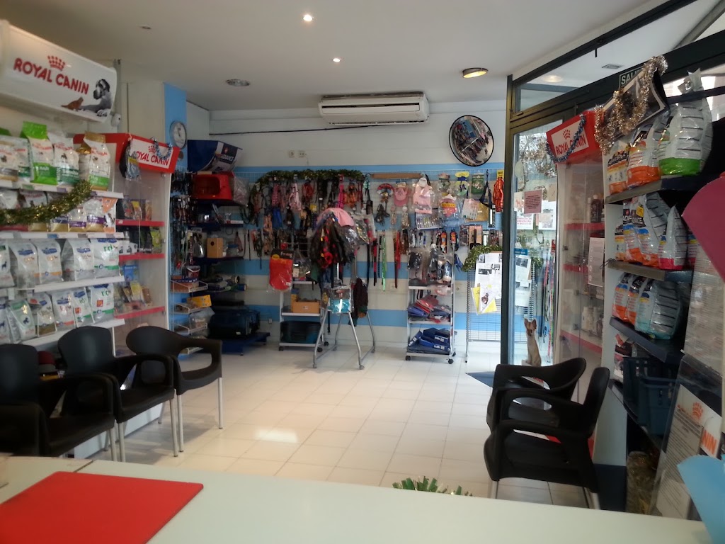 Clinica Veterinaria Avenida de Espana — Del propietario