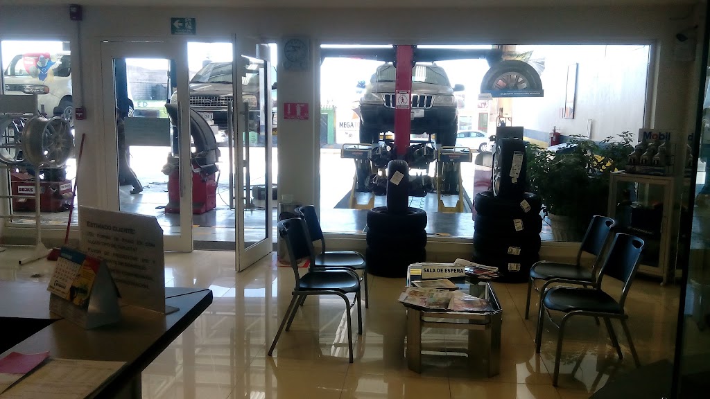 Llantas y Rines del Guadiana — Interior