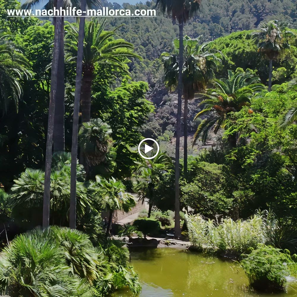 Nachhilfe Mallorca