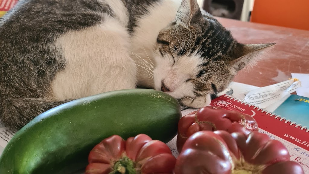 Huertos Naturales Tucutuco