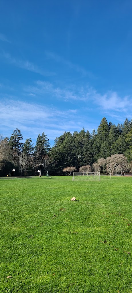 Rohner Park