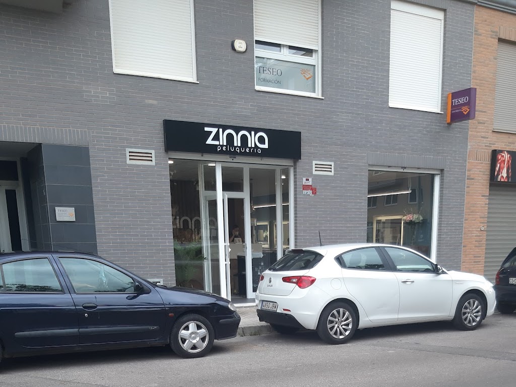 Zinnia Peluqueria y Estetica Unisex