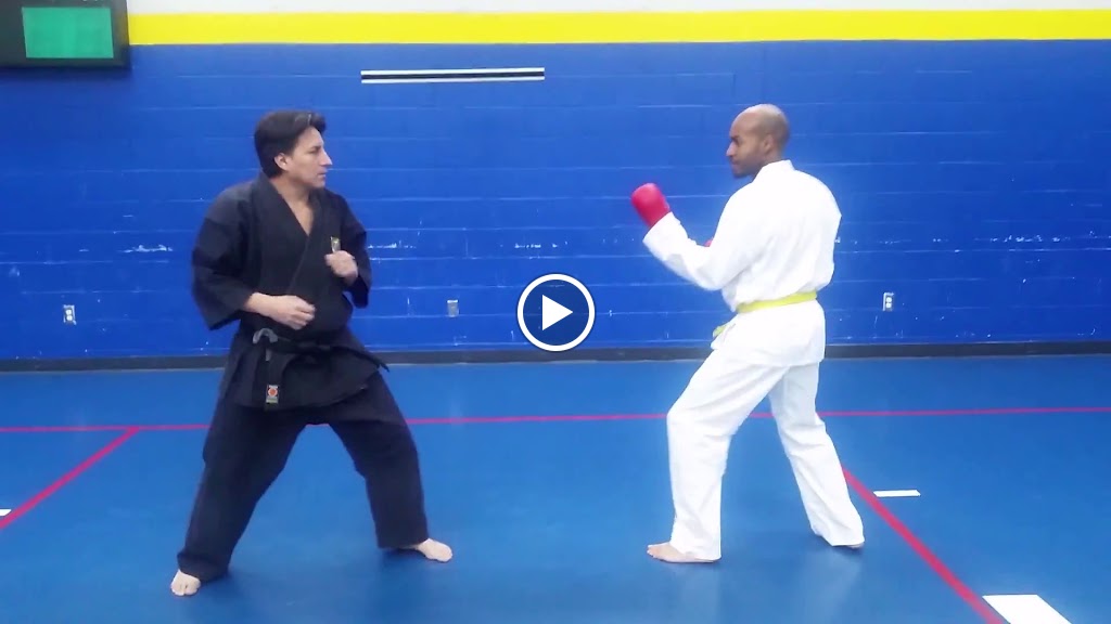  Silvera Shotokan Karate