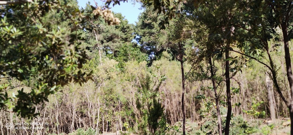 Ermita de las Cruces