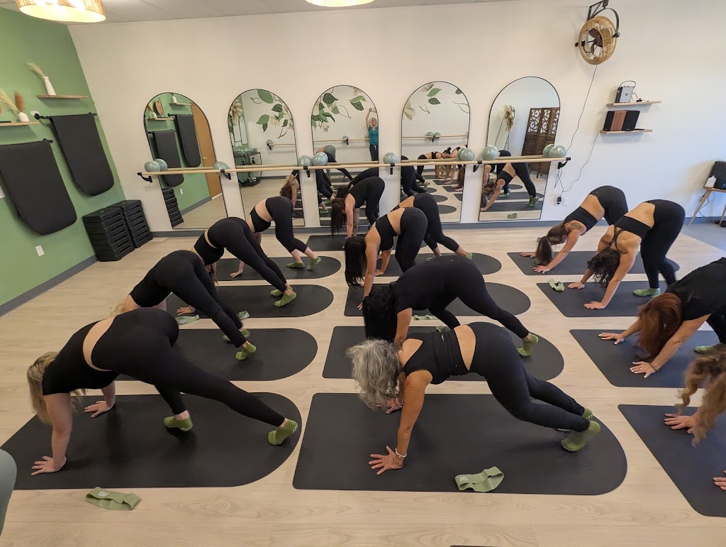  Barre Length + Strength