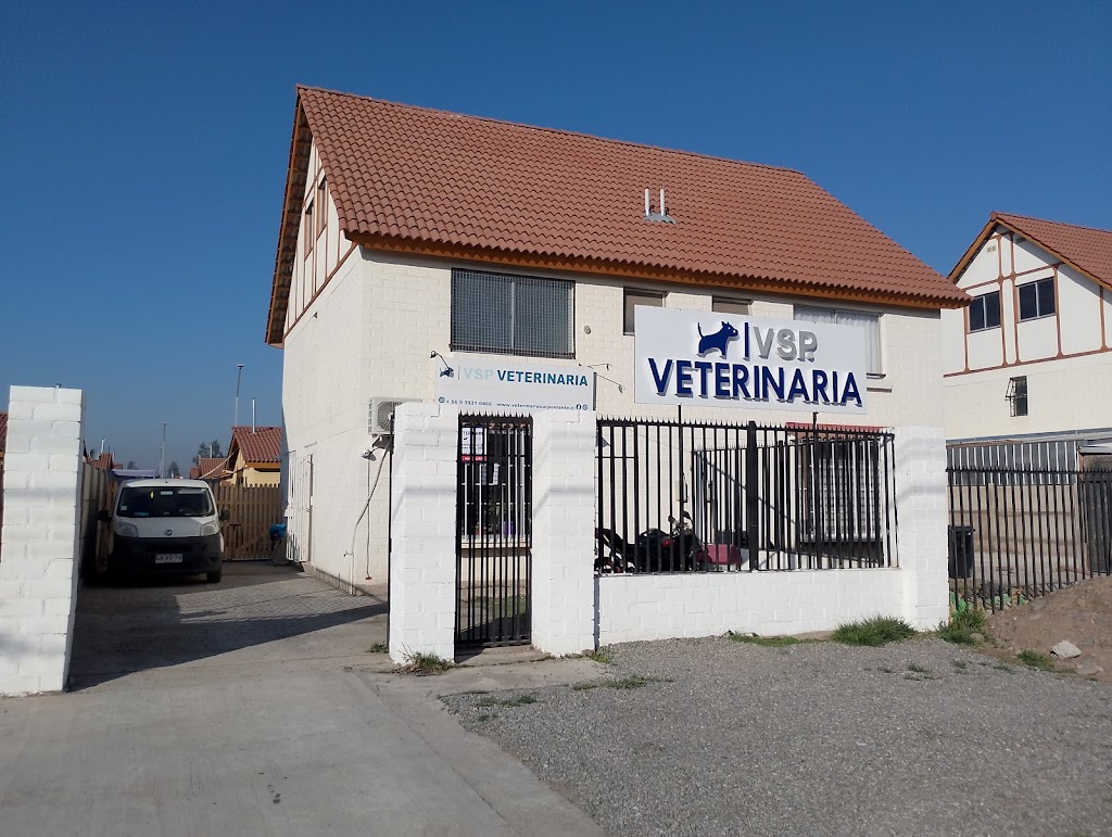 Veterinaria VSP en Padre Hurtado