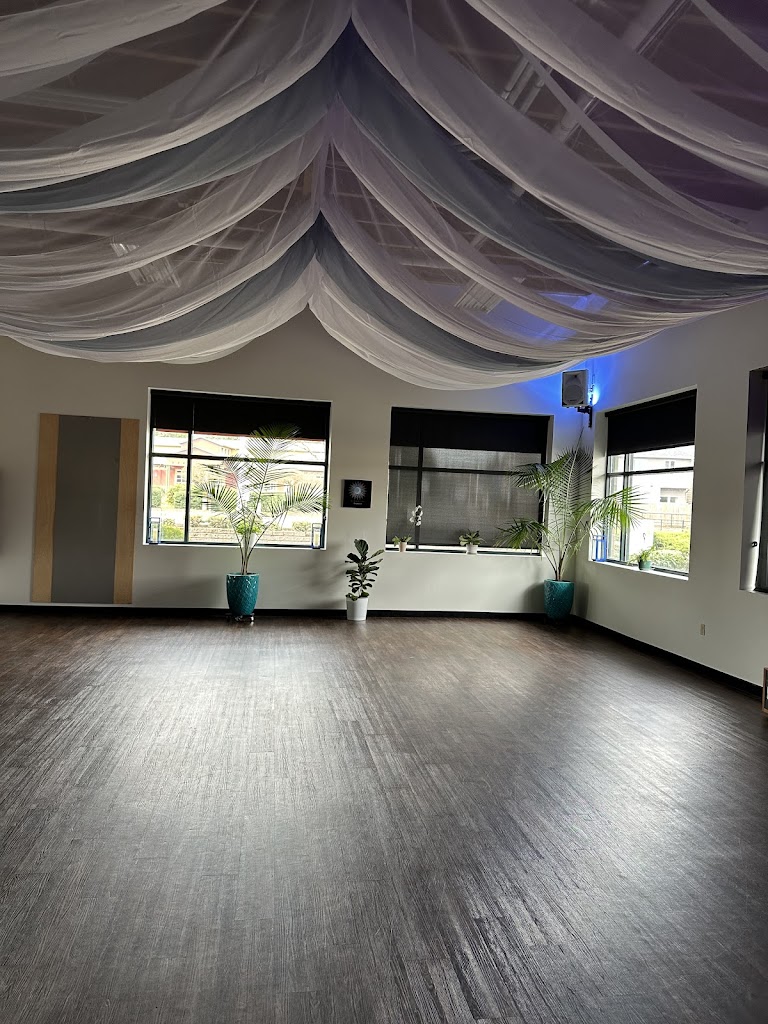  Sun and Moon Studios