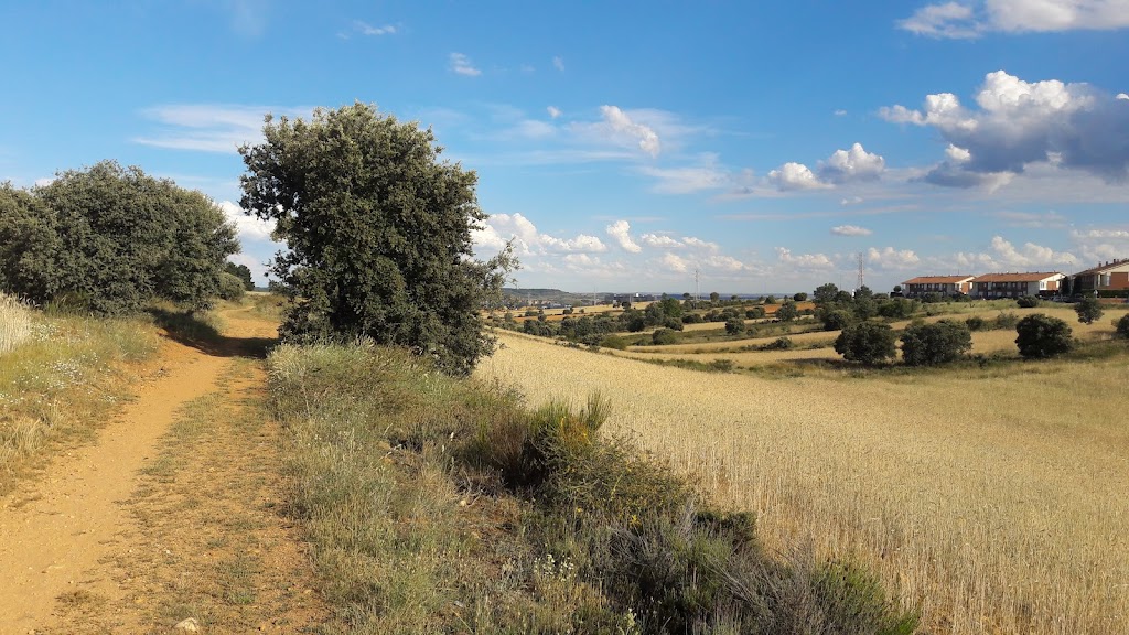Camino Los Siseros de Navatejera