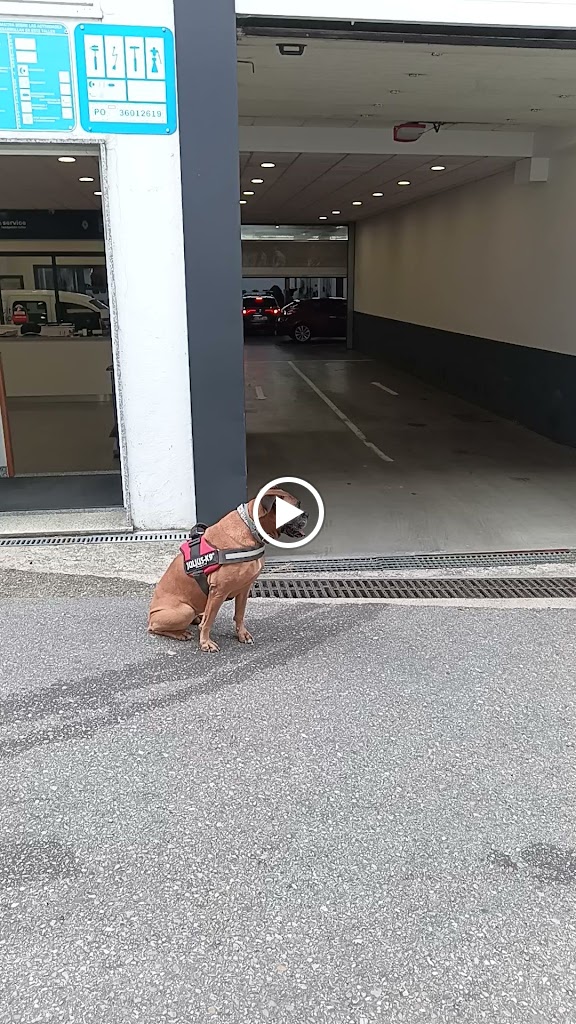 Renault Ponteareas Rodosa — Videos
