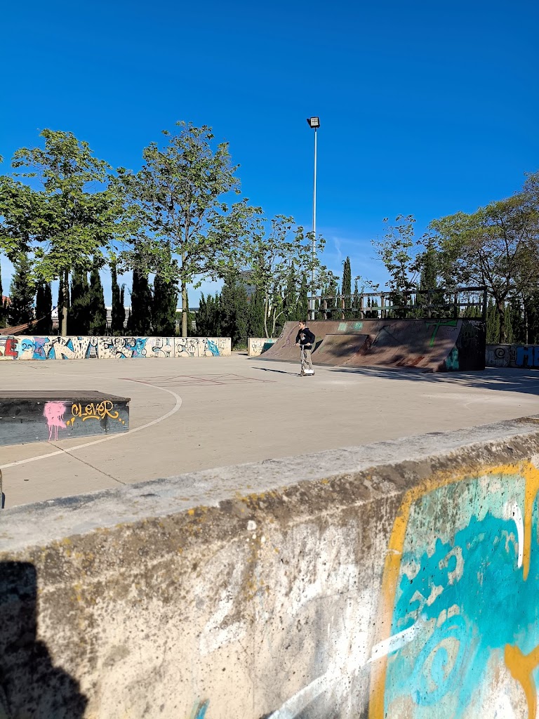 Skatepark Alaquas