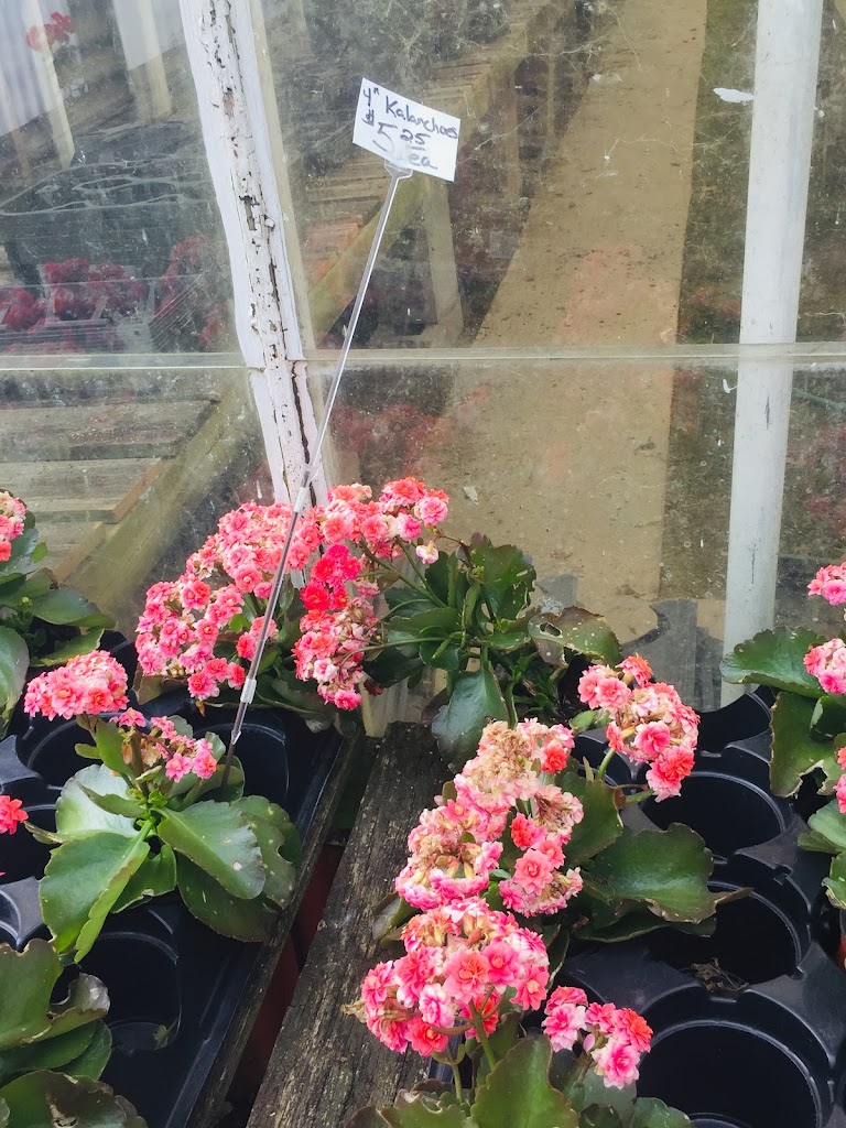 Calumet Greenhouse Inc
