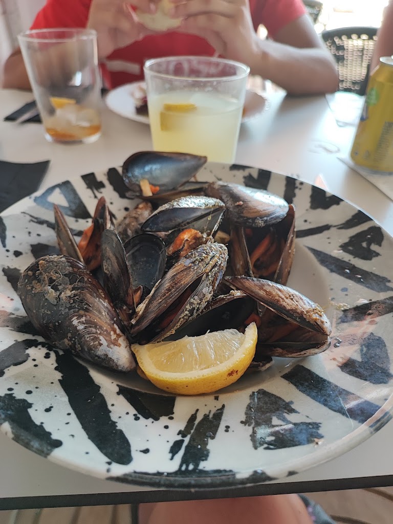 Bar Chachi — Mytiloida