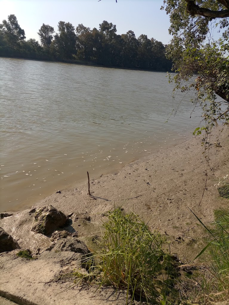 Corredor Verde del Area Metropolitana de Sevilla