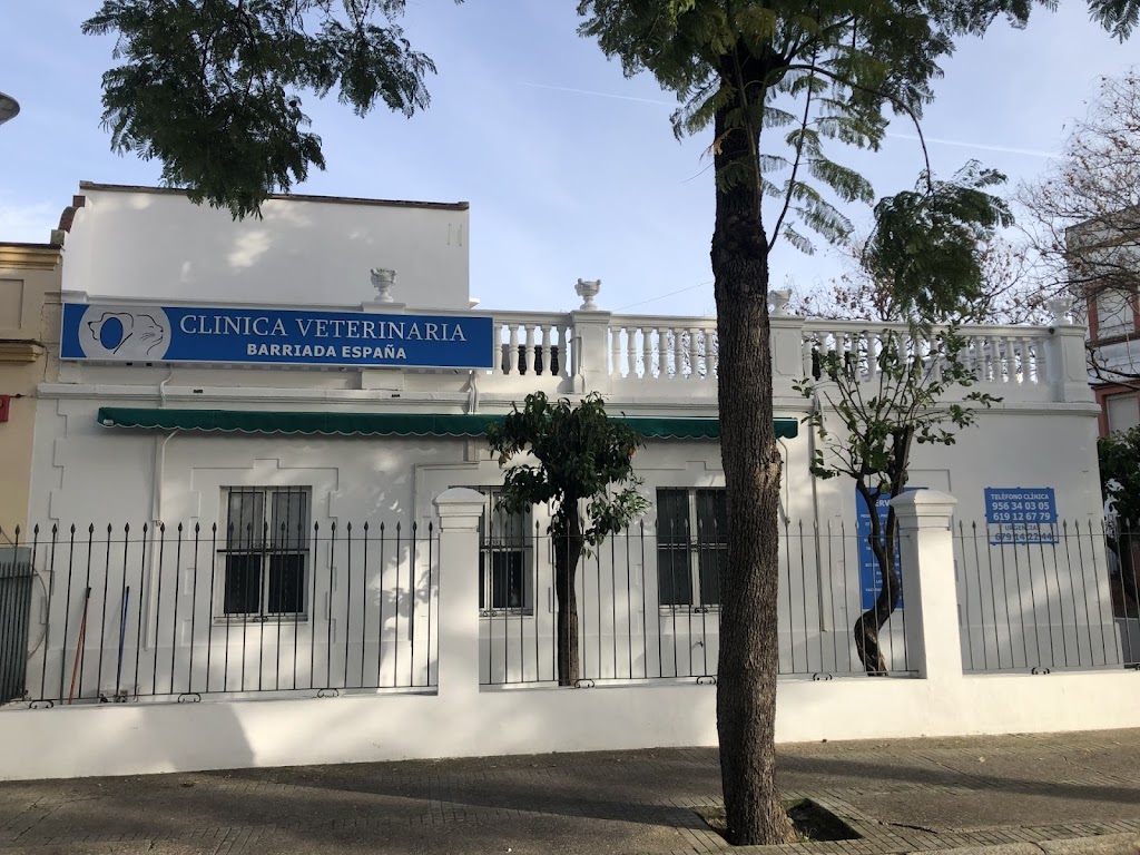CLINICA VETERINARIA BARRIADA ESPANA, JEREZ