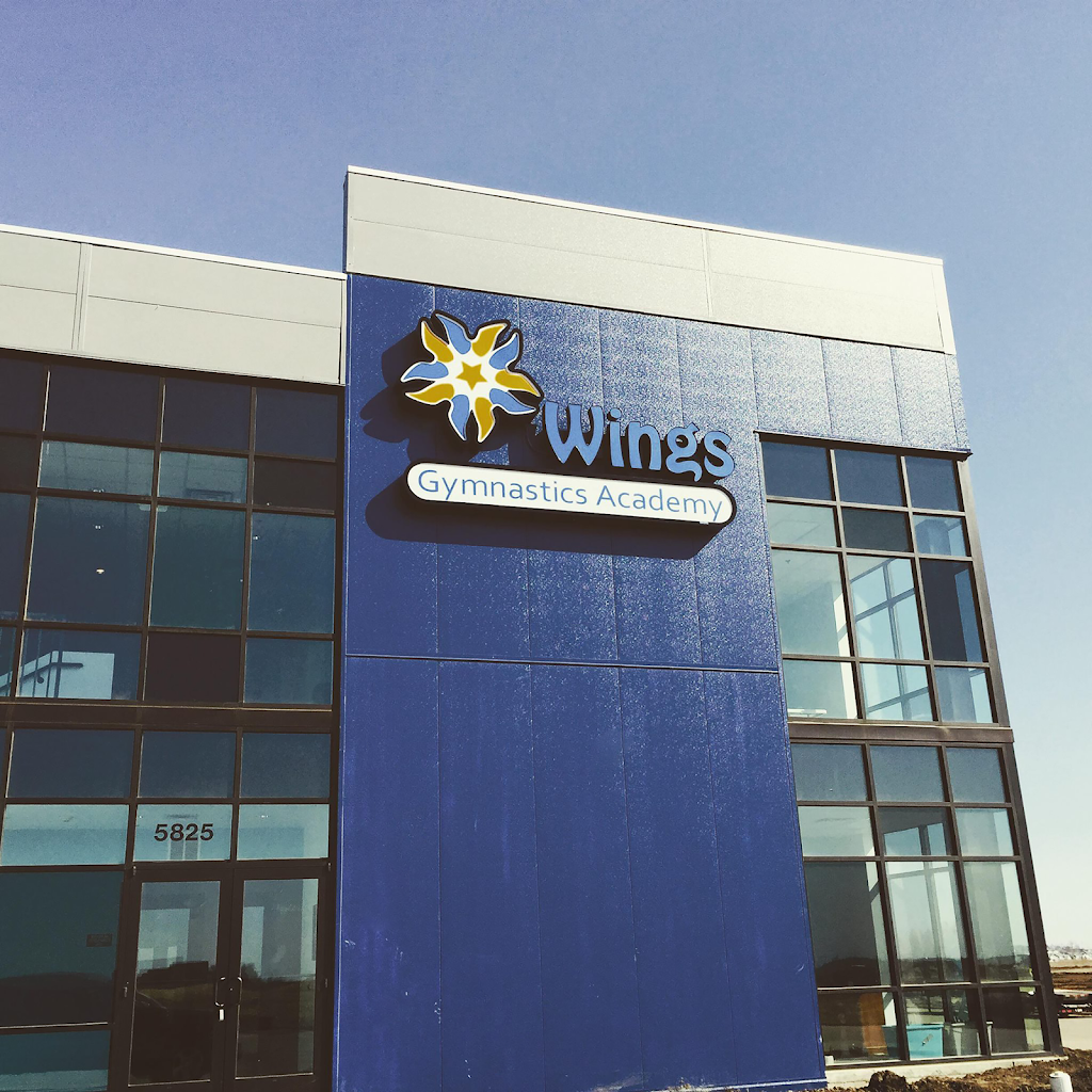  Wings Gymnastics Academy