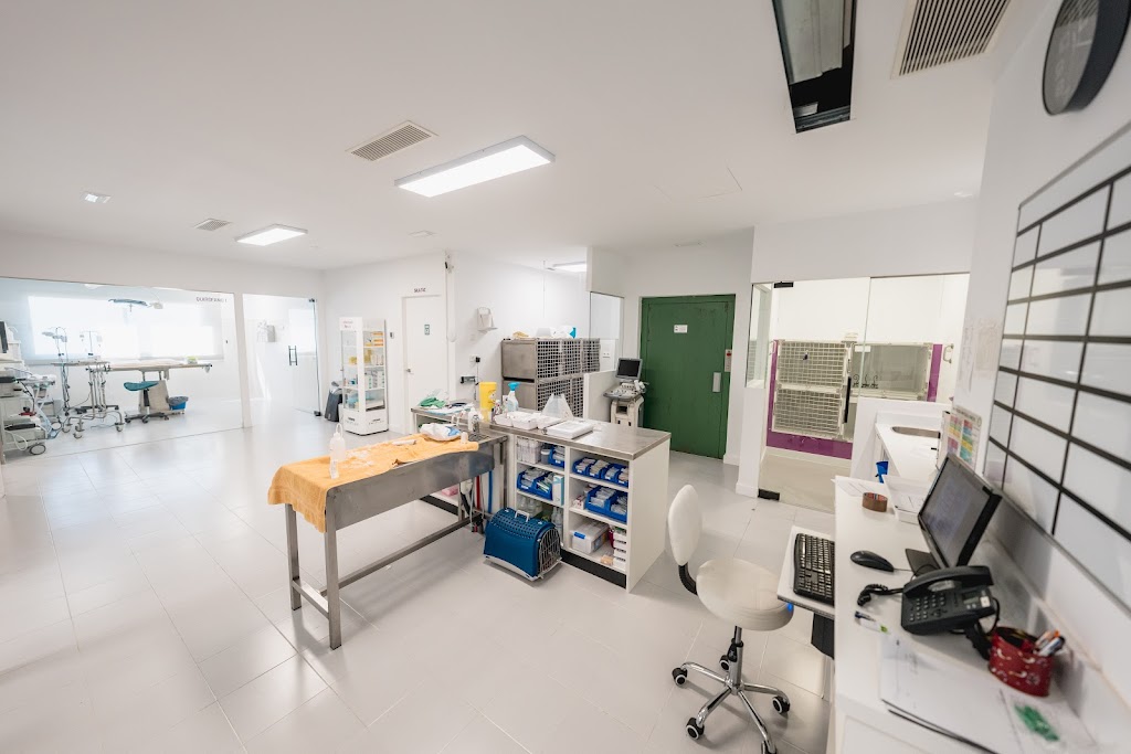 Hospital Veterinario Ciutat d'Inca