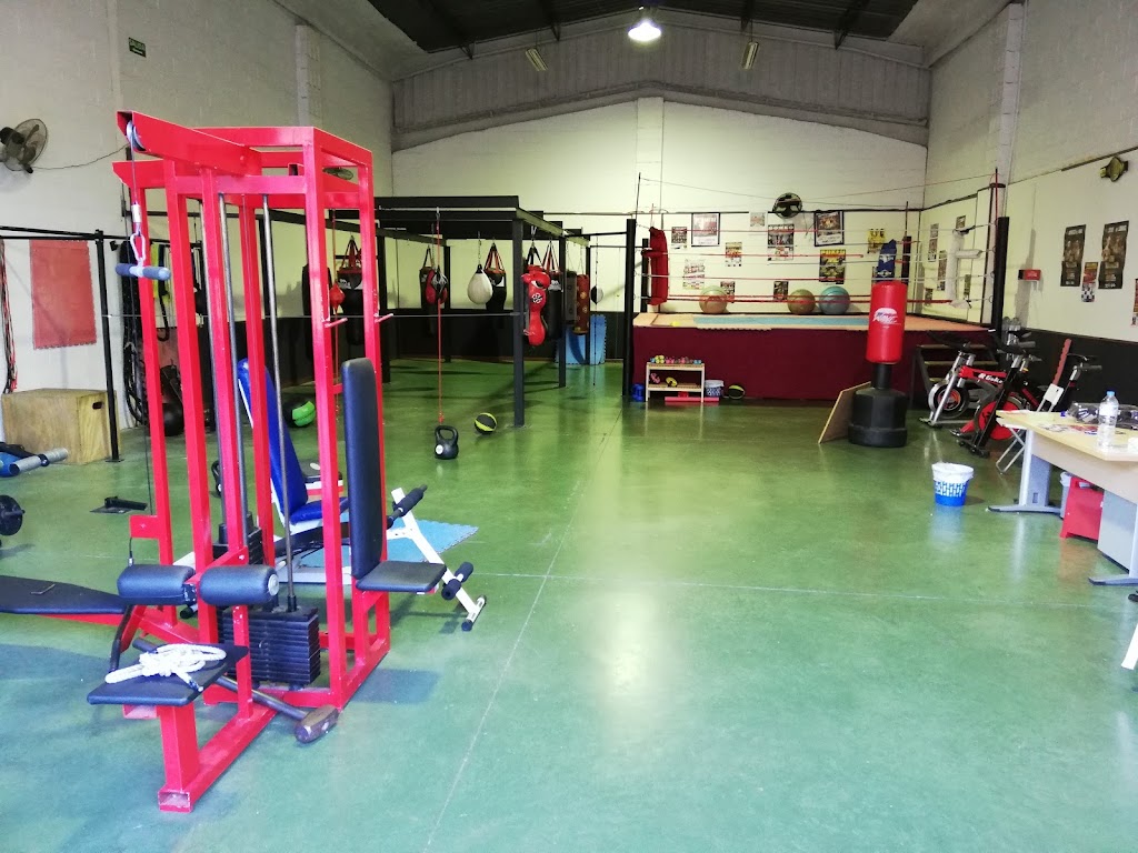 Club Boxeo Dos Hermanas — Gimnasio