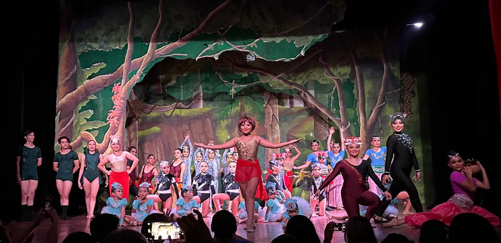 Academia De Danza "Nina Shestakova" — Del propietario