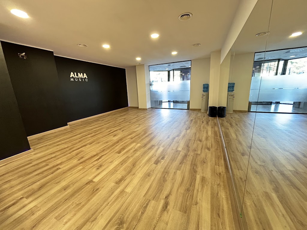 Alma Music - Formacio artistica