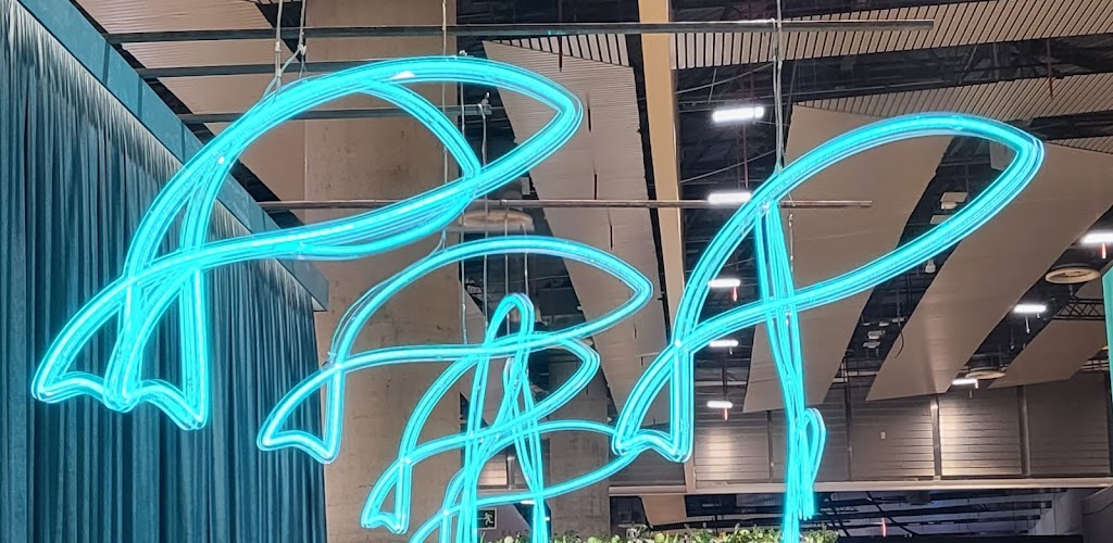 Acuario 2 - Bar de Vinos.