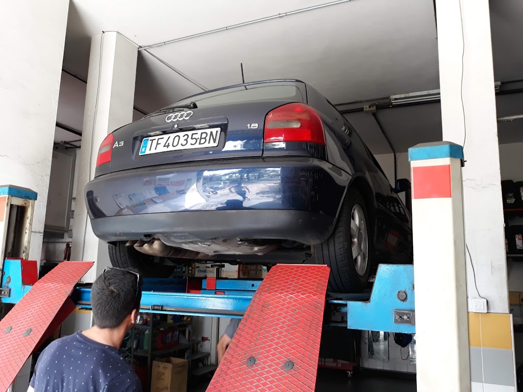 Neumaticos Las Palmeras.