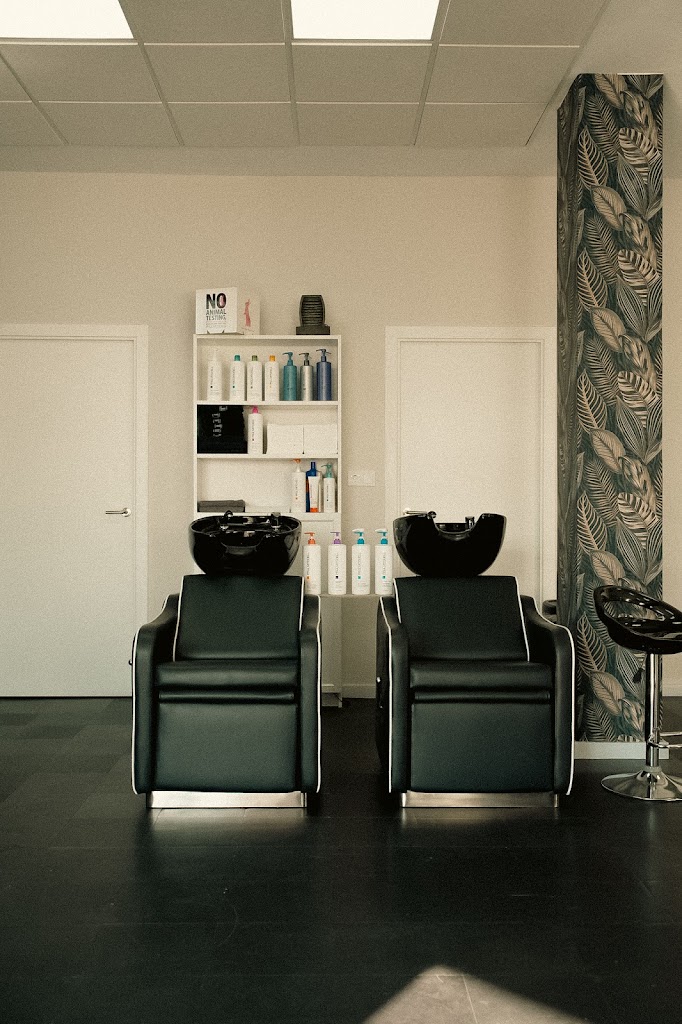PEDRO G. DYNASTY Hairsalon — Del propietario