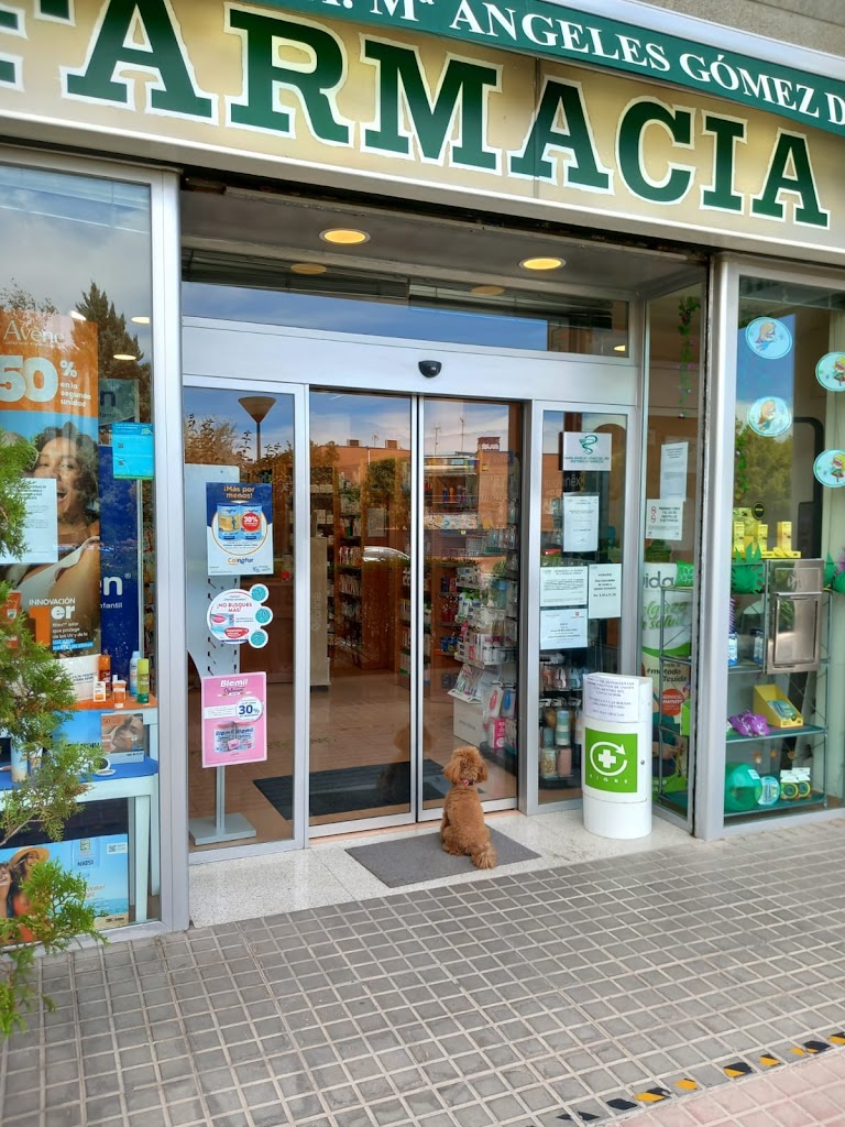 Farmacia Maria Angeles Gomez del Rio