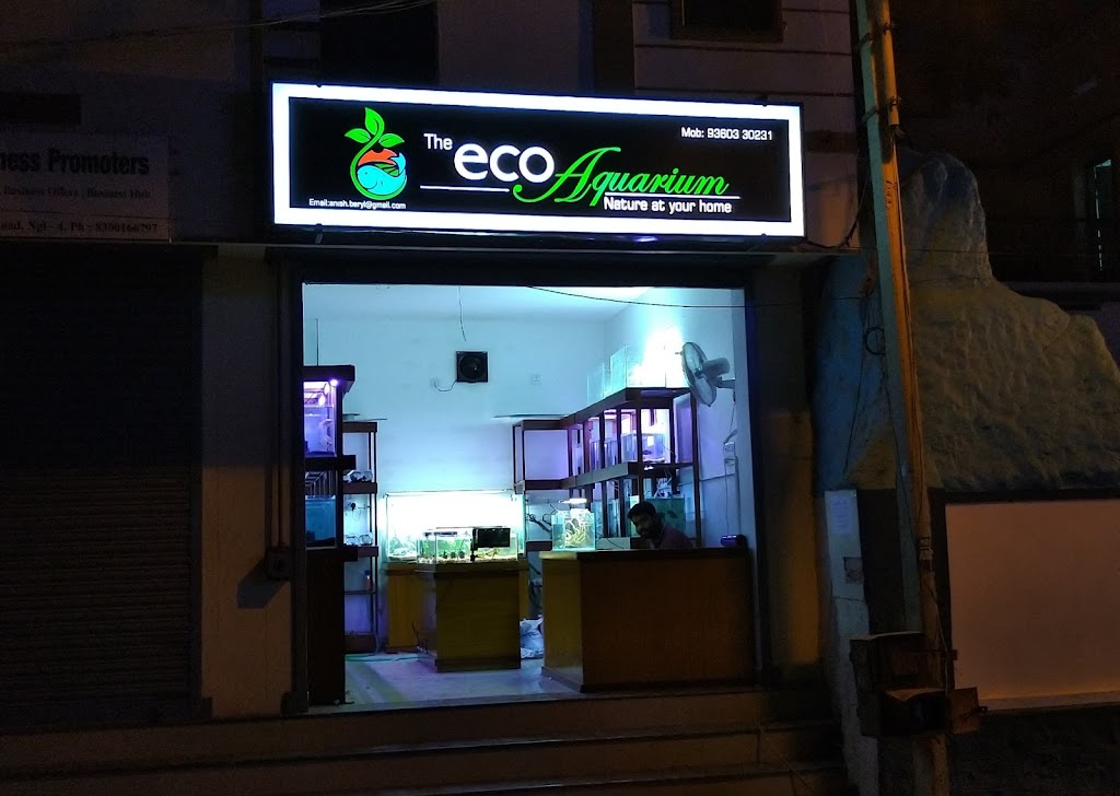 The eco Aquarium
