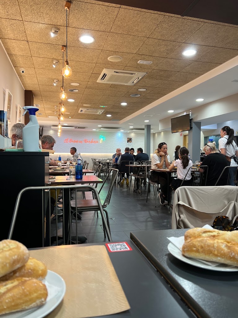 Oasis Barbera — Comida y bebida