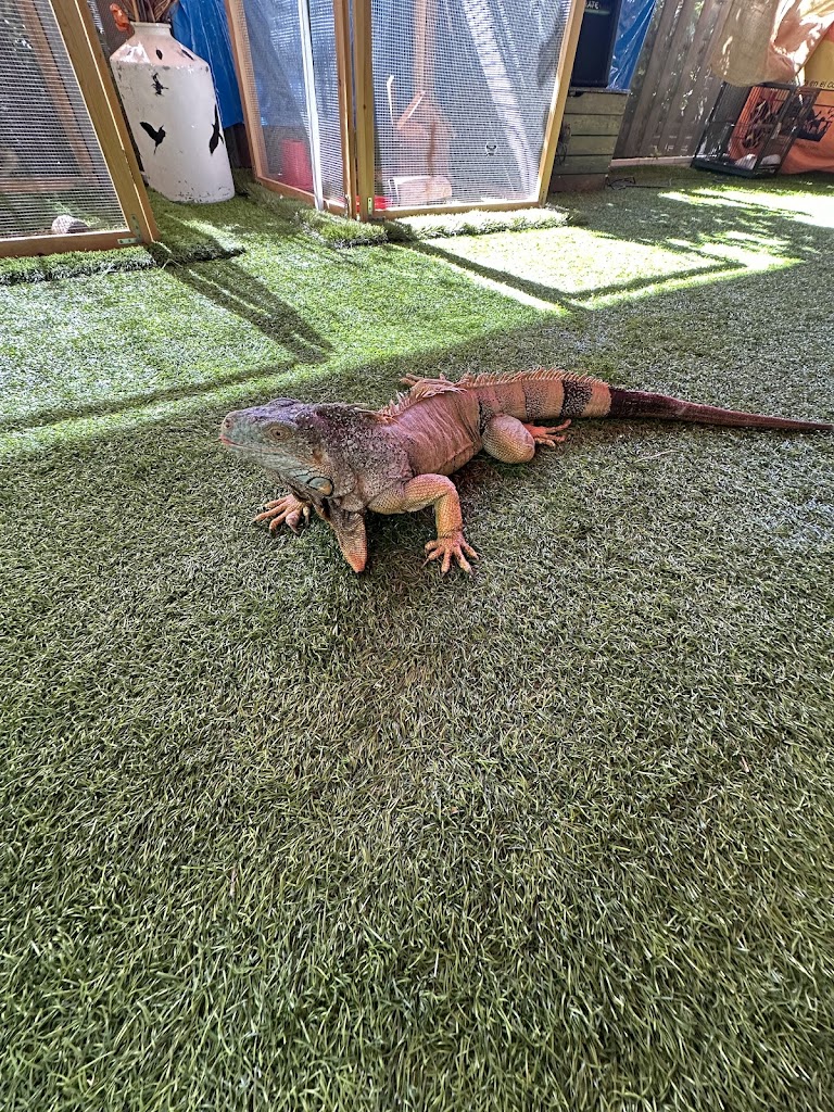 Rocking Kids English Nursery School