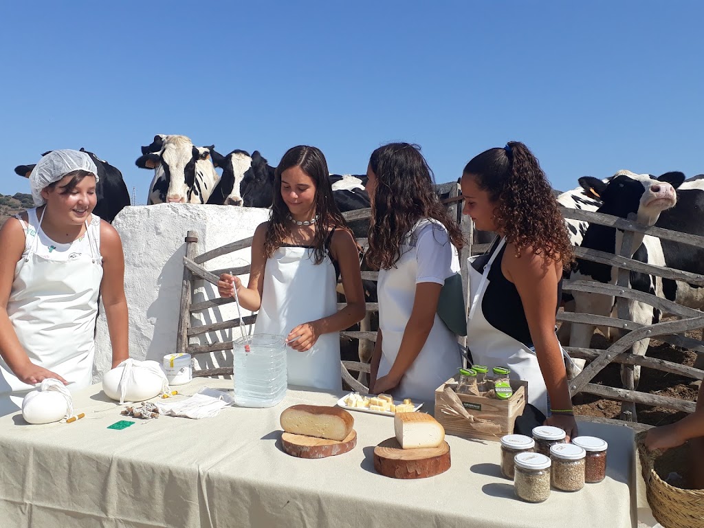 Viu el Camp de Menorca - Visites guiades a llocs de Menorca, tasts sensorials i experiencies gastronomiques