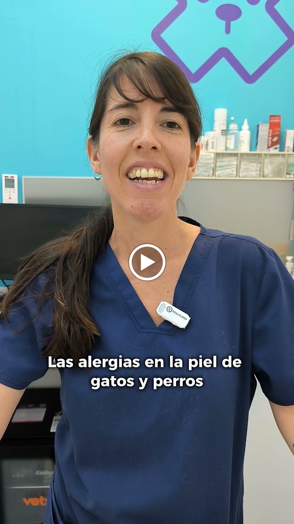 Clinica Veterinaria Solvet - L'Hospitalet de Llobregat — Del propietario
