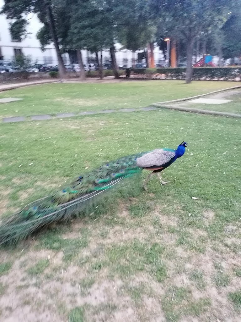 Jardim da Quinta da Alagoa
