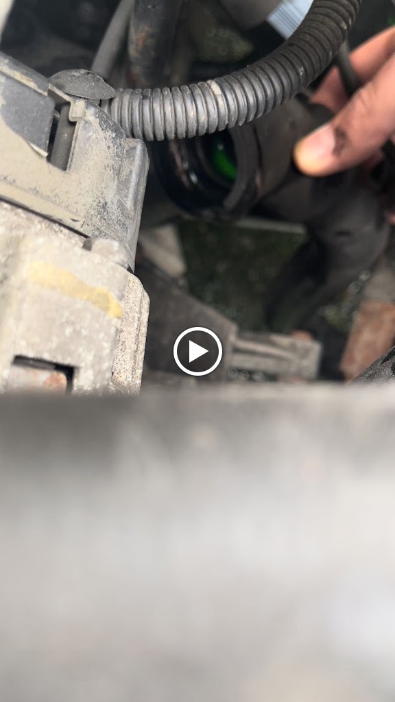 Videos