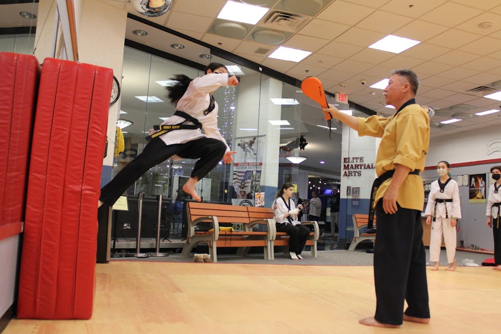 Martial Art