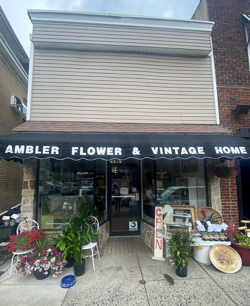 Ambler Flower Shop Florist