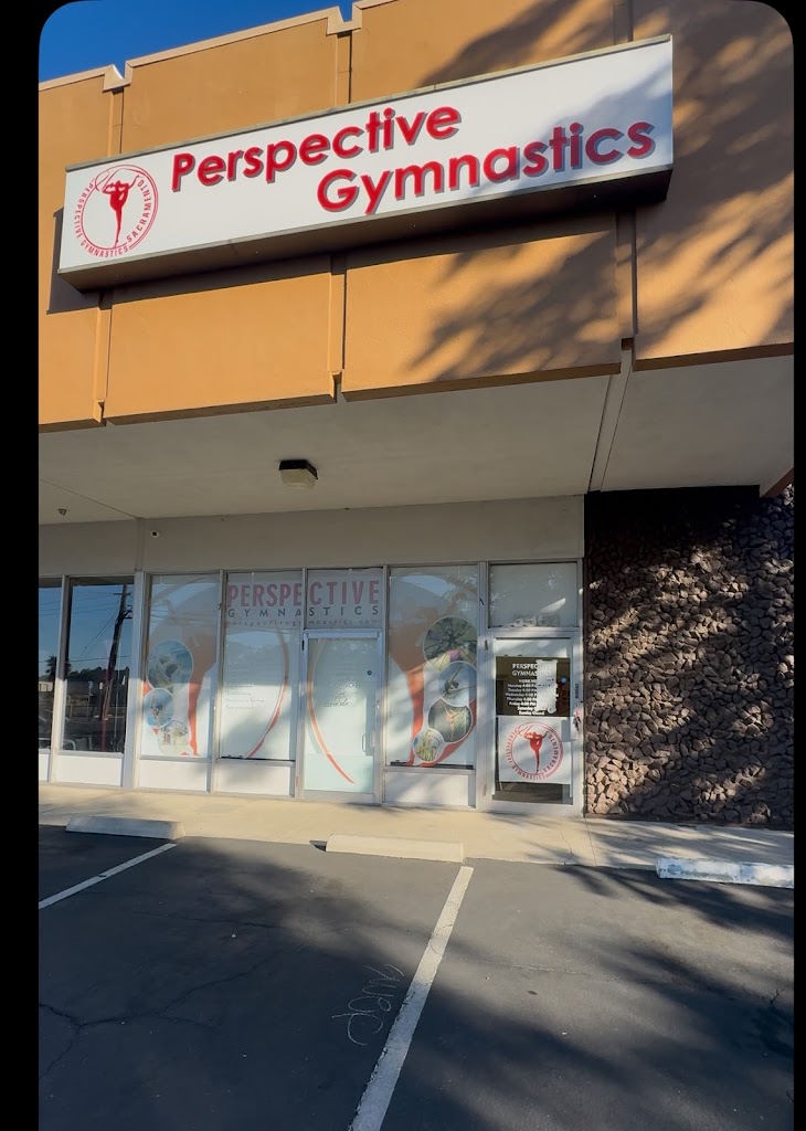  Perspective gymnastics