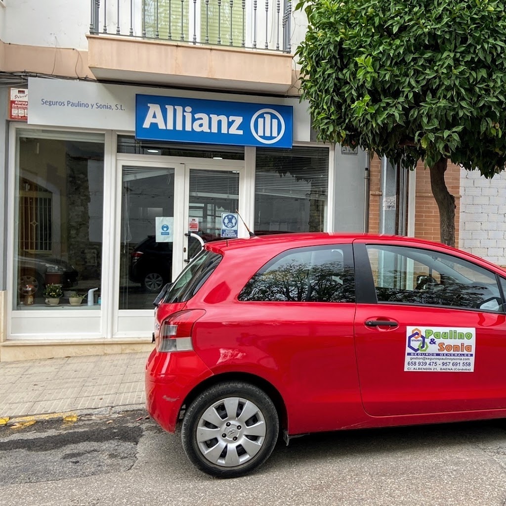 Allianz Seguros - Agencia Seguros Paulino Y Sonia S.L. — Del propietario