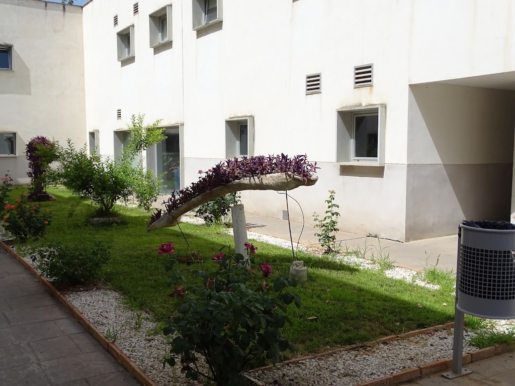 Solimar Xativa - Residencia de Mayores — Del propietario