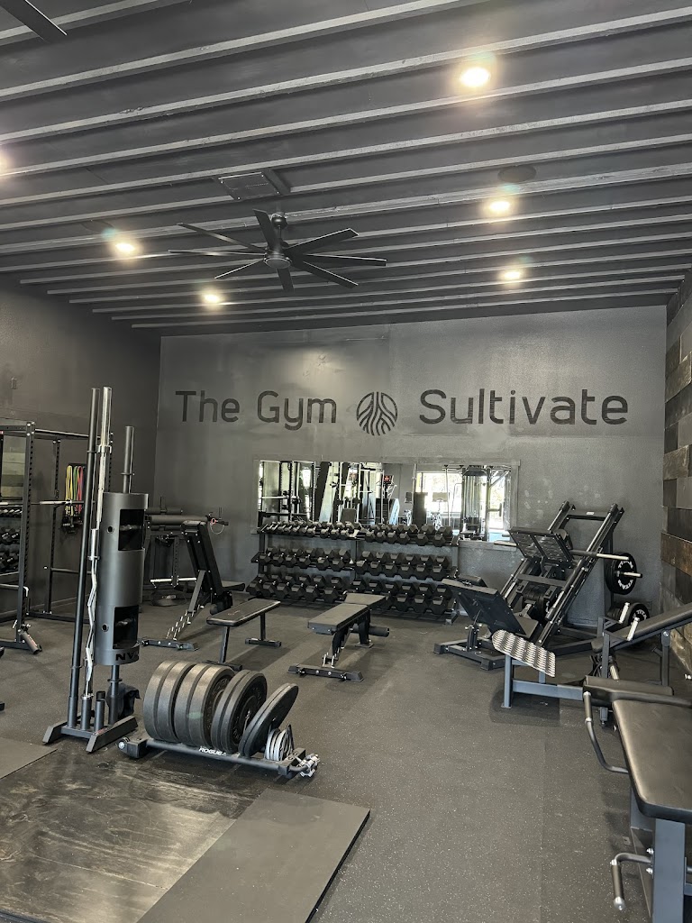  The Gym at Sultivate