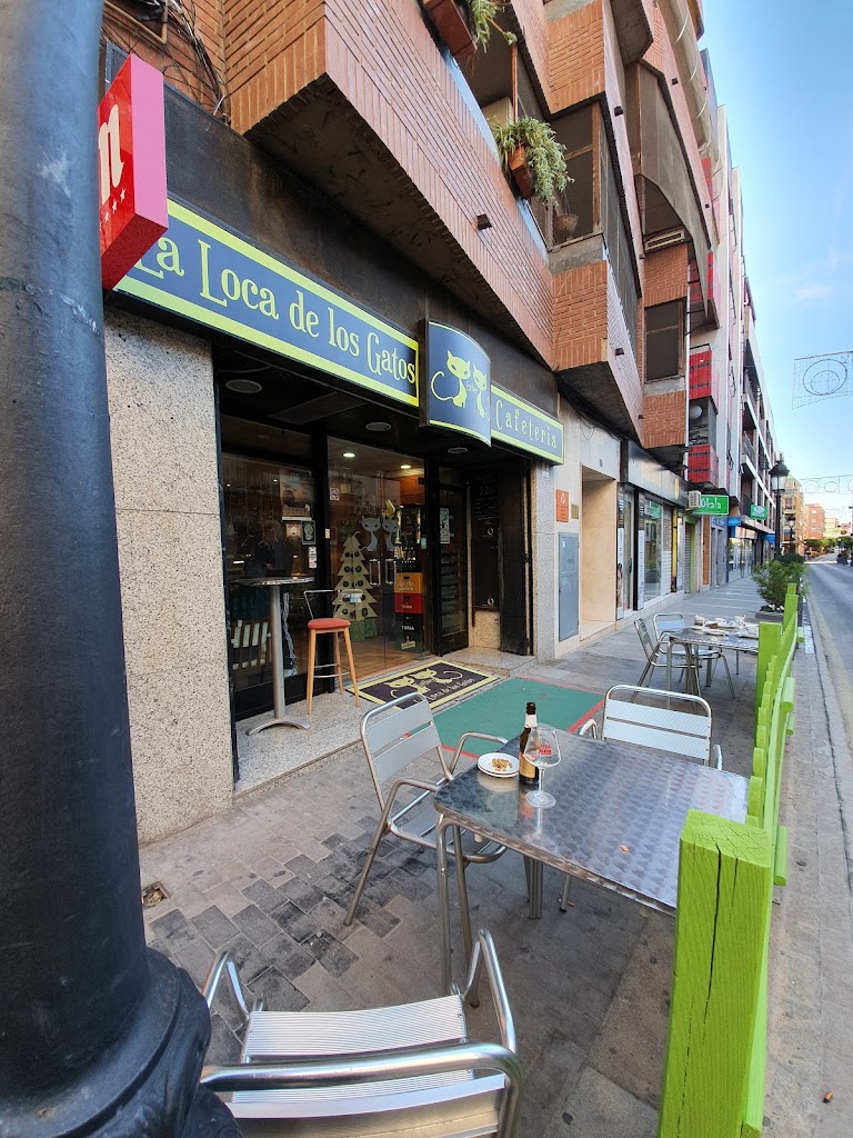 Esther La Loca De Los Gatos Cafeteria