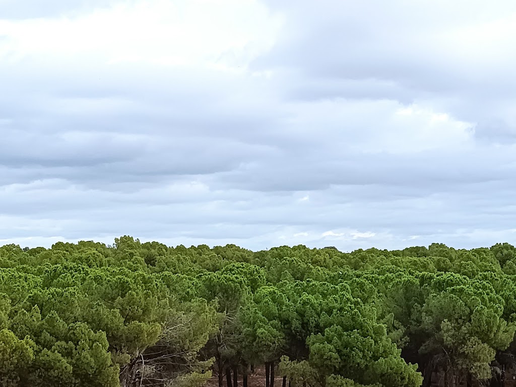 Dehesa de Marimartin