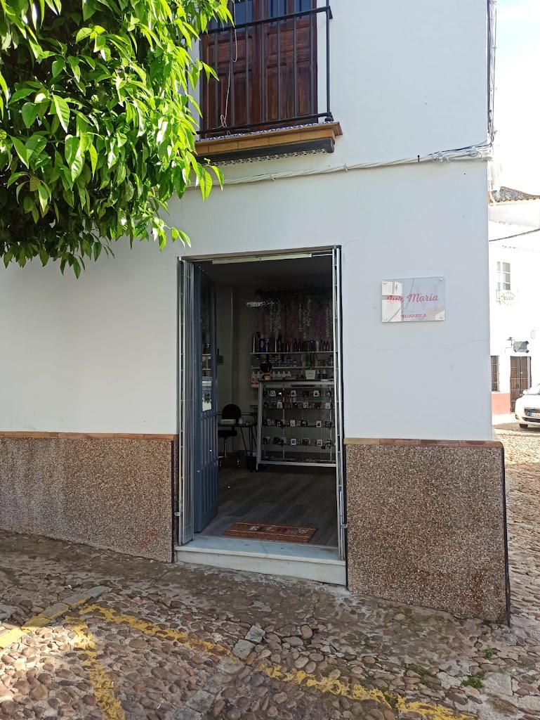 LUZ MARIA. Peluqueria — Del propietario