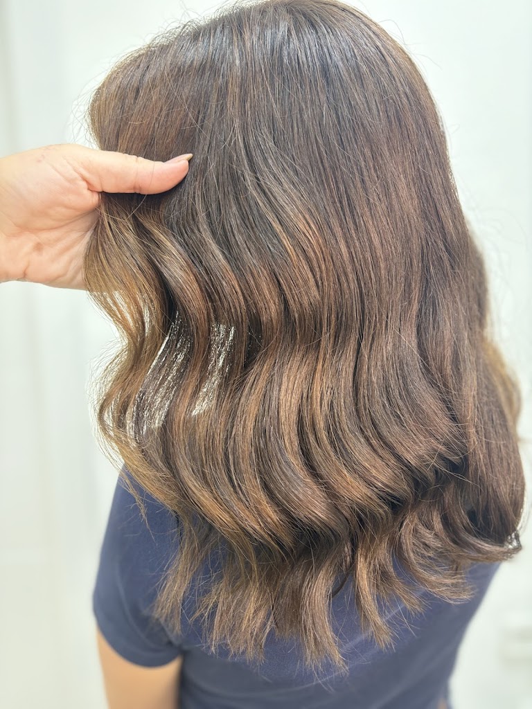 salon n18