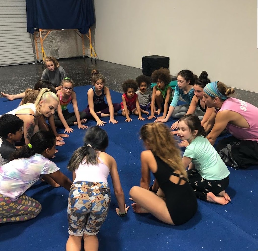  Texas Circus and Aerial