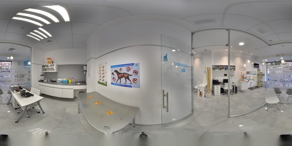 Vetfaunia — Street View y 360deg
