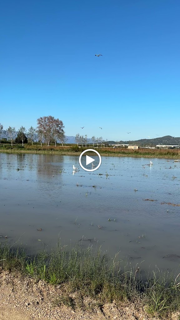 Parking C/ d'Alacant